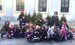 bosco incantato