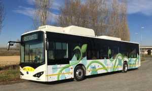 bus elettrico
