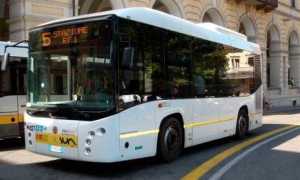 bus sun novara