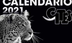 calendario cites