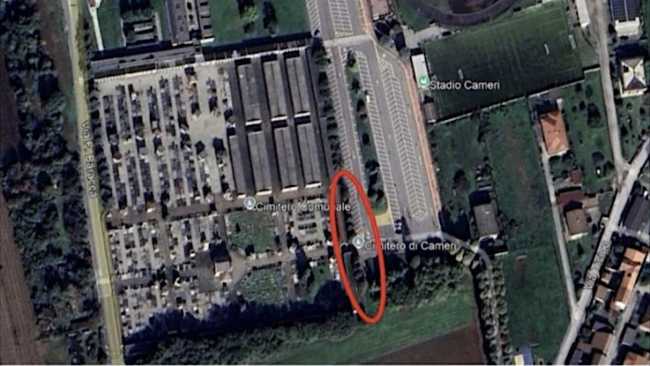 cameri alberature da abbattere