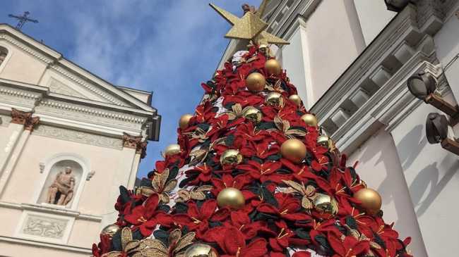 cameri albero uncinetto