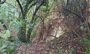 cameri movimento franoso parco ticino