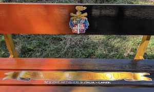 cameri panchina artiglieri