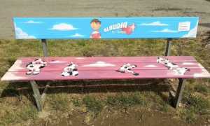 cameri panchina claudia