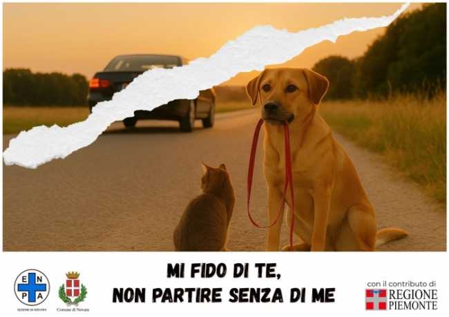 campagna enpa 25