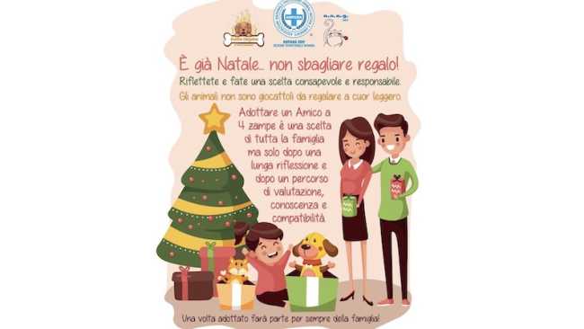 campagna natalizia anpana 24