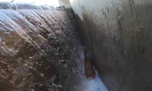 capriola recetto miletta