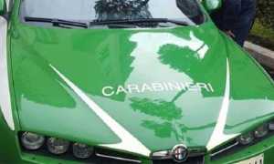 carabinieri forestali