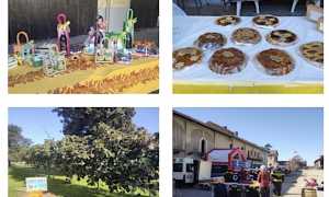 cascina graziosa raccolto