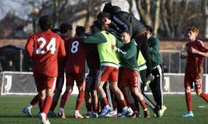 chisola novaromentin