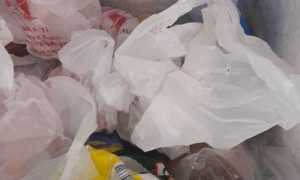 cibo conservato male