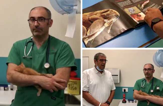 ciurleo cavalli pulci