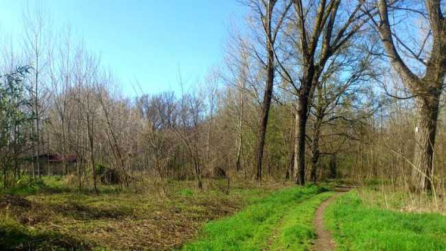 compensazione ambientale