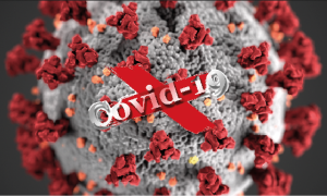 covid 19 vero virus
