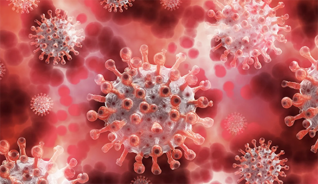 covid virus rendering