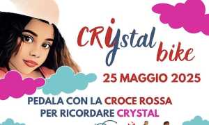crystal bike 25
