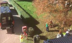 detenuti palazzo bellini