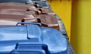 differenziata bidoni foto