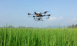 drone agricoltura