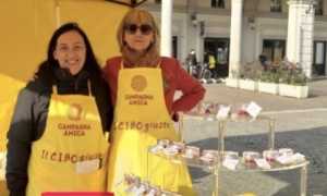 eccellenza trecate