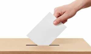 elezioni urna