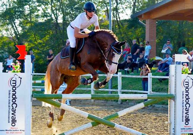 equitazione coppa Alpi