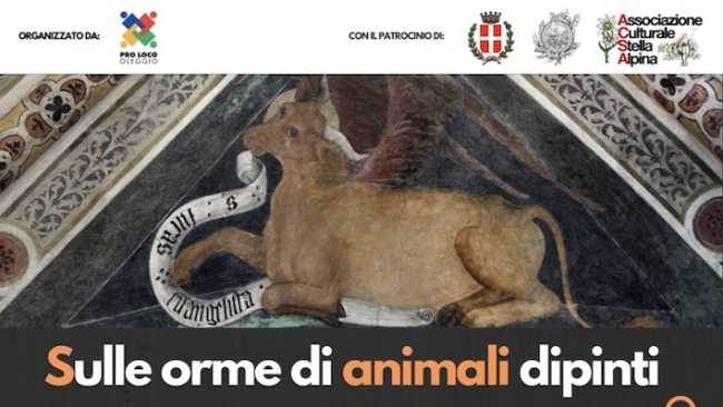 evento pro loco oleggio