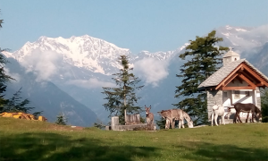 fabbri gita pizzetto