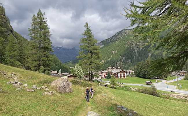 fabbri gressoney alpenzu