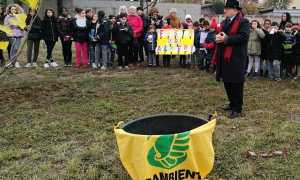 festa alberi