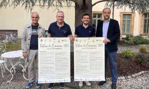 festone di cameriano