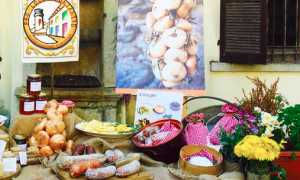 fiera cipolla fontaneto