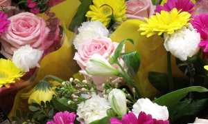 fiori