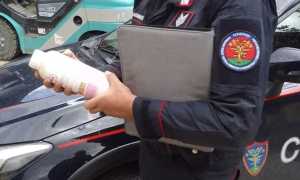 fitofarmaci carab forestali