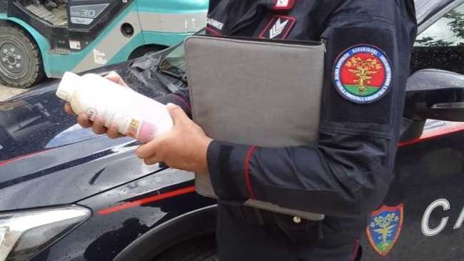 fitofarmaci carab forestali