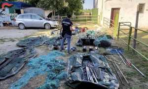 forestale operazione 2