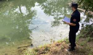 forestale terdoppio 1