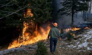 foto incendio forestale