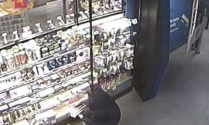 foto operazione polizia 2