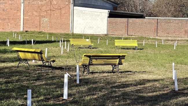 galliate giardino gelsi inaug