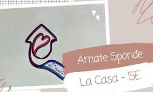 galliate menzione camera