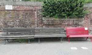 galliate panchina rossa