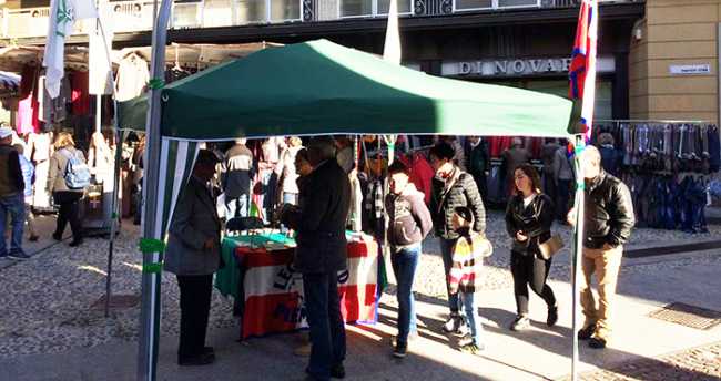 gazebo lega mercato domo mag