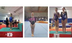 ginn artistica oleggio