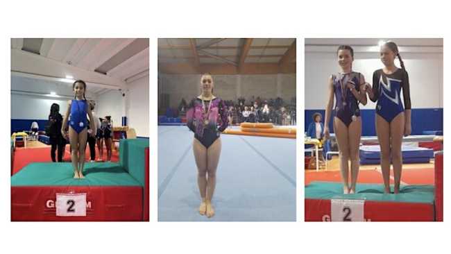 ginn artistica oleggio