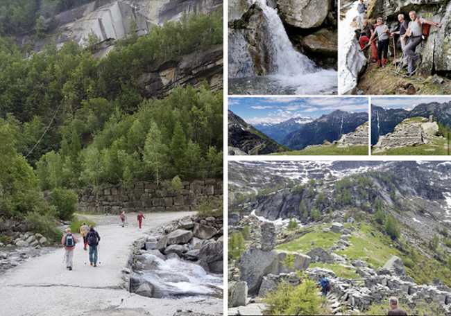 gita croppo vera fabbri trotapian mix