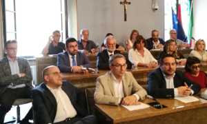 giunta novara