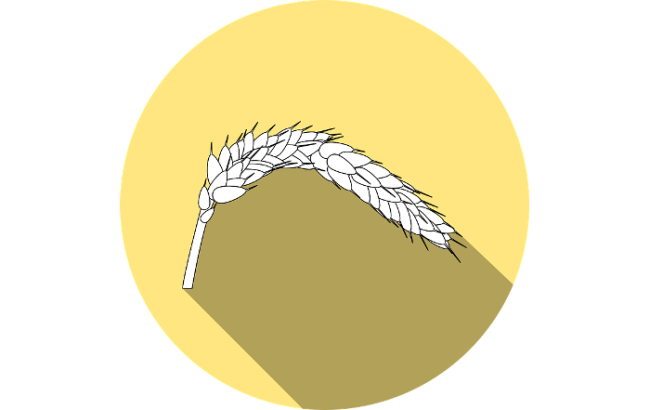 glutine