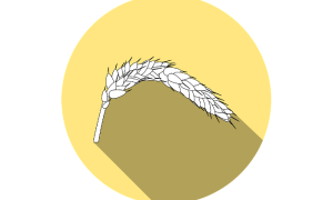 glutine